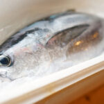 魚介類の画像１