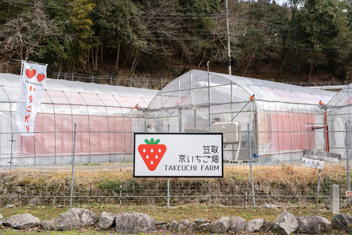 「笠取京いちご畑」看板と旗の画像