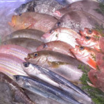 鮮魚の画像