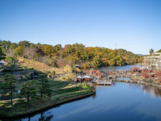 けいはんな記念公園の画像