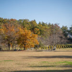 けいはんな記念公園の画像