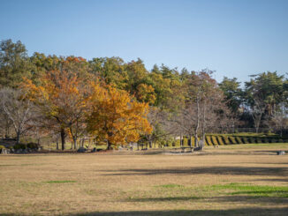 けいはんな記念公園の画像