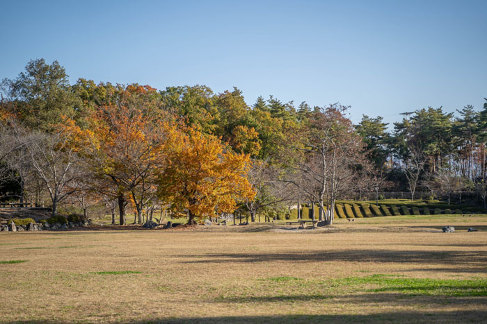 けいはんな記念公園の画像