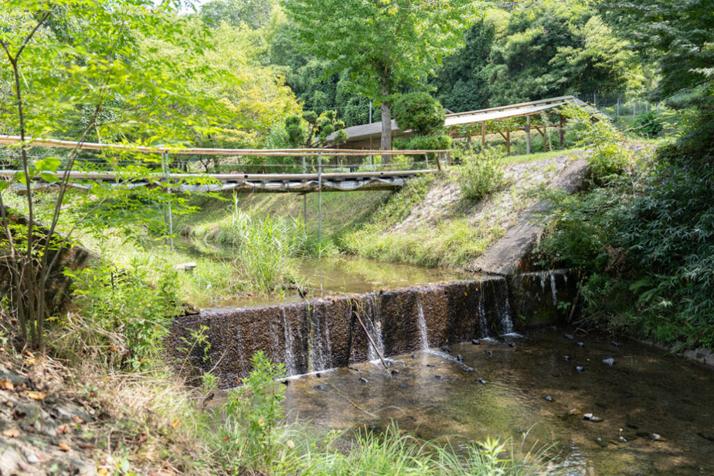 「みどり農園」小川の画像