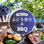 「みどり農園」ぶどう狩り・BBQなどの画像