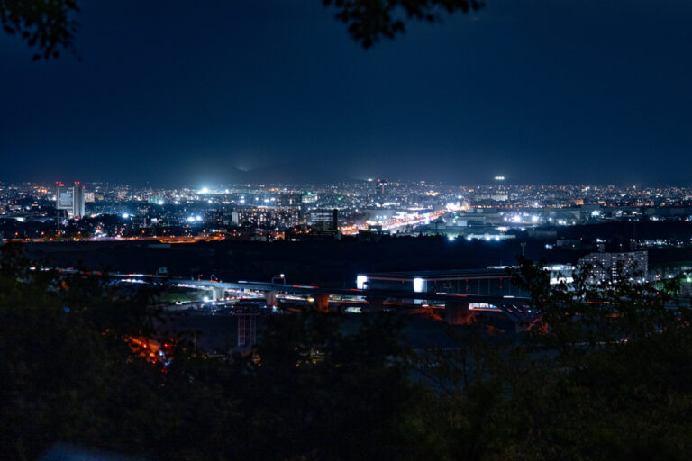 「鎮守の杜ナイトウォークinやわた」夜景（大阪方面）の画像