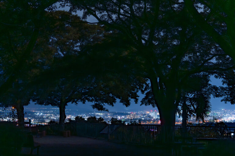 「鎮守の杜ナイトウォークinやわた」夜景の画像