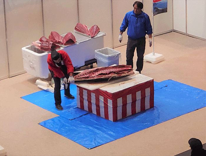 「京都府農林水産フェスティバル2025」京まぐろ解体ショーの画像