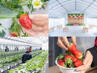 華やぎ観光農園の画像