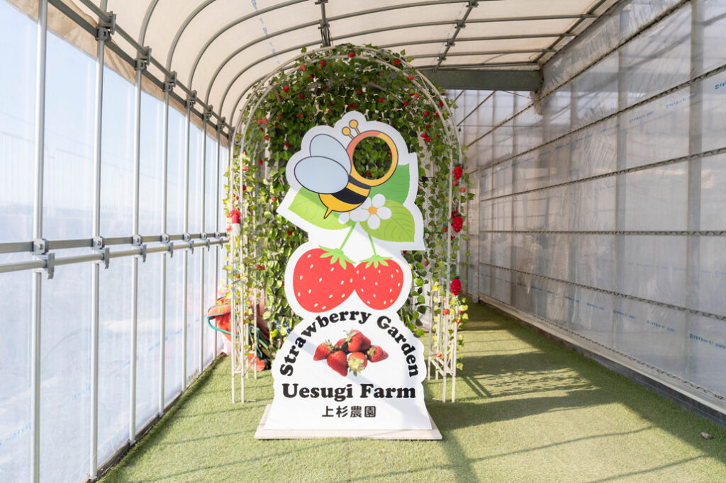 「いちご狩り農園 上杉農園」フォトスポットの画像