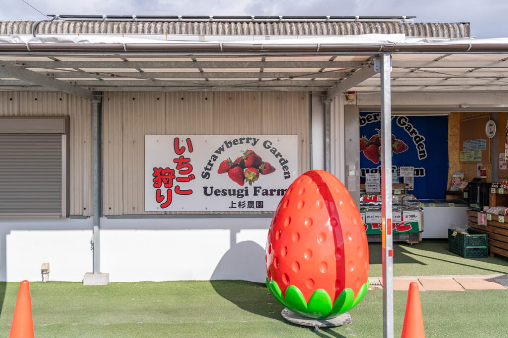 「いちご狩り農園 上杉農園」受付前の画像