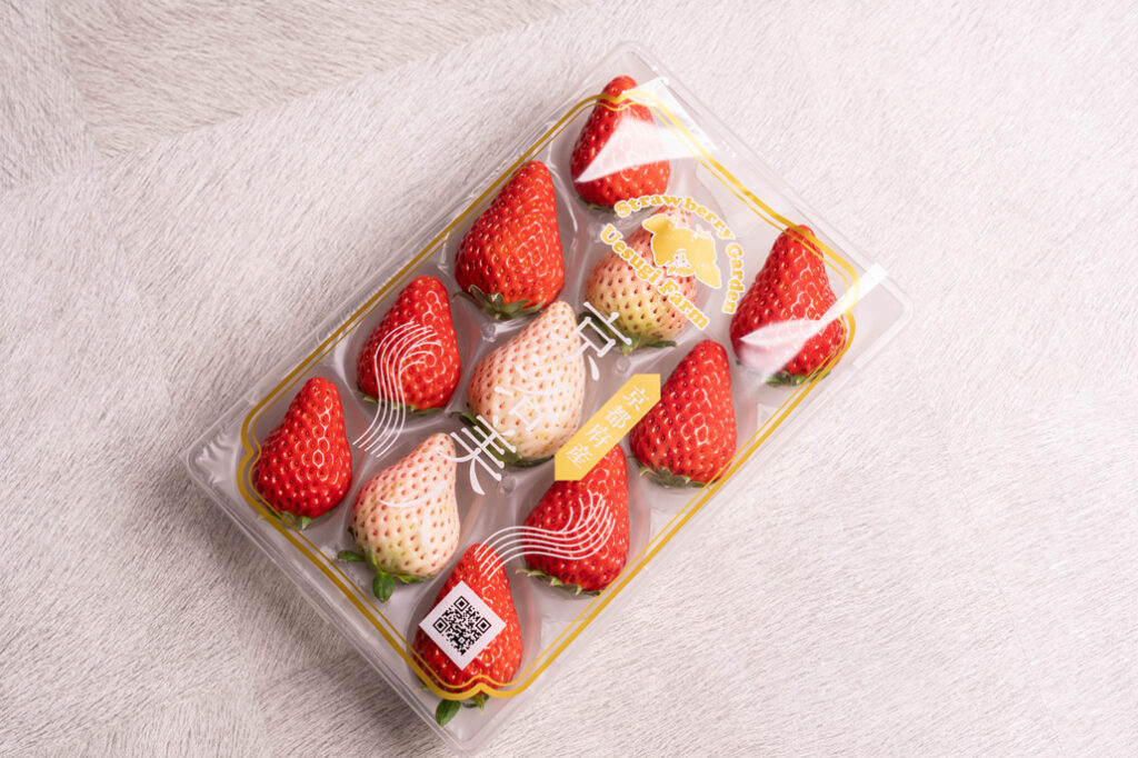 「いちご狩り農園 上杉農園」紅白いちごの画像