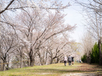 大久保駐屯地の画像