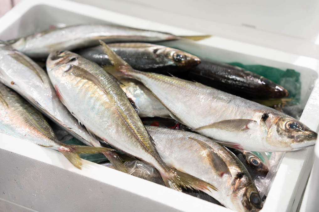 「umiya マルヤマ水産」鮮魚の画像
