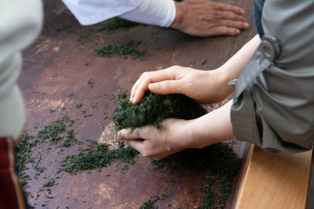 「宇治新茶 八十八夜茶摘みの集い」でお茶を揉んでいる画像