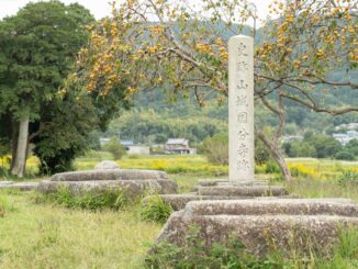 恭仁宮跡（山城国分寺跡）の画像