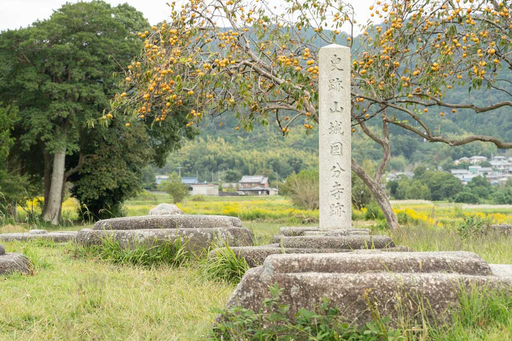 恭仁宮跡（山城国分寺跡）の画像