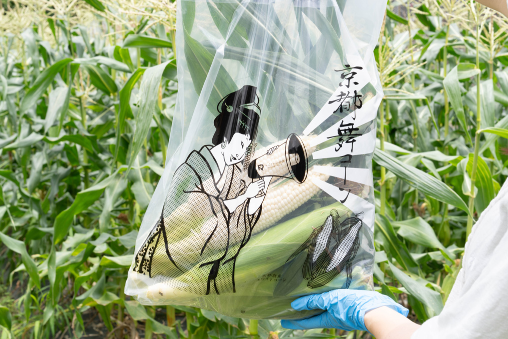 「ロックファーム京都」コーンを１０本収穫した画像
